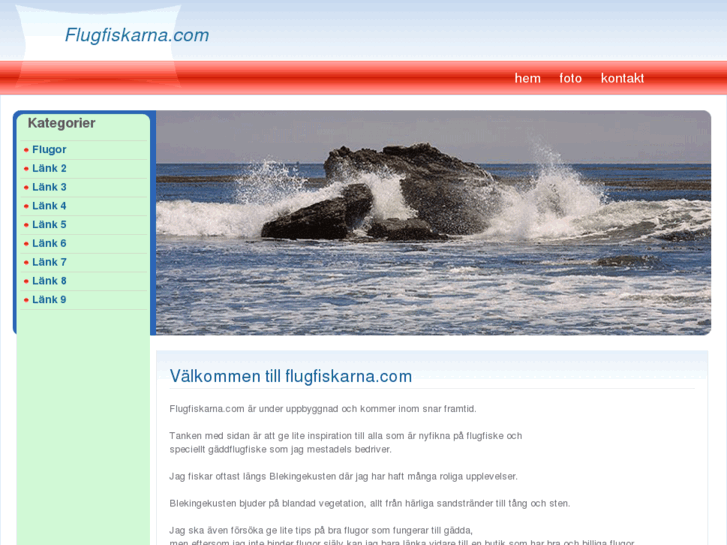 www.flugfiskarna.com