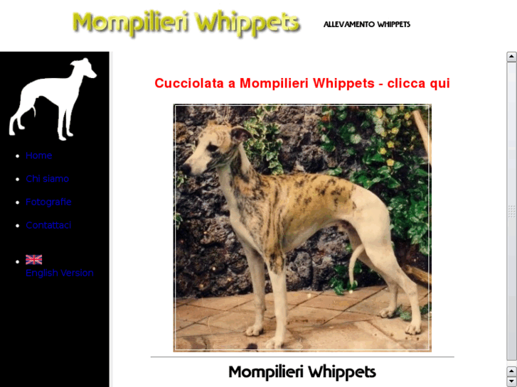 www.mompilieri-whippets.com