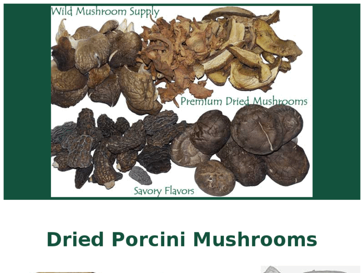 www.driedporcinimushrooms.com