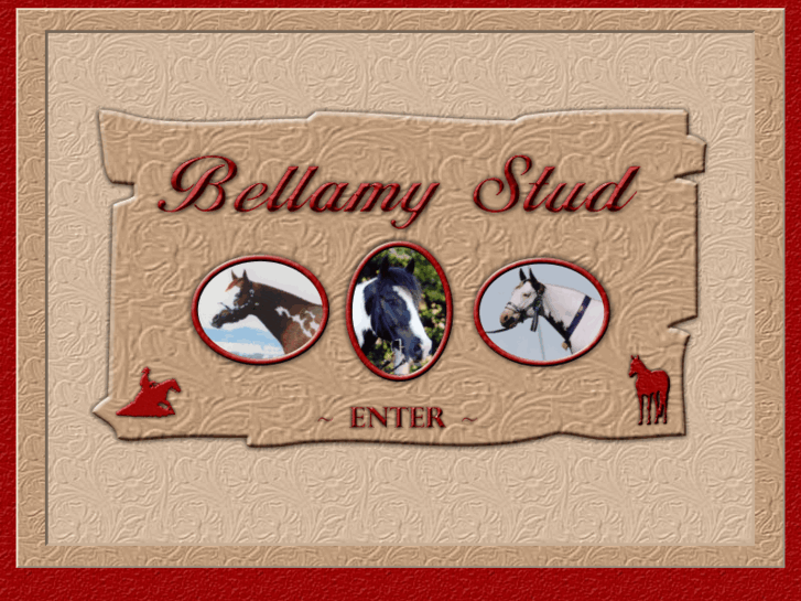 www.bellamy-stud.com