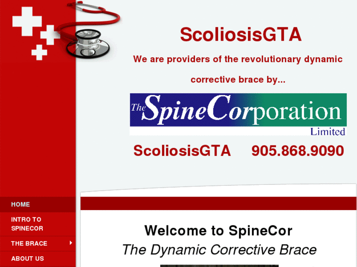 www.scoliosisgta.com