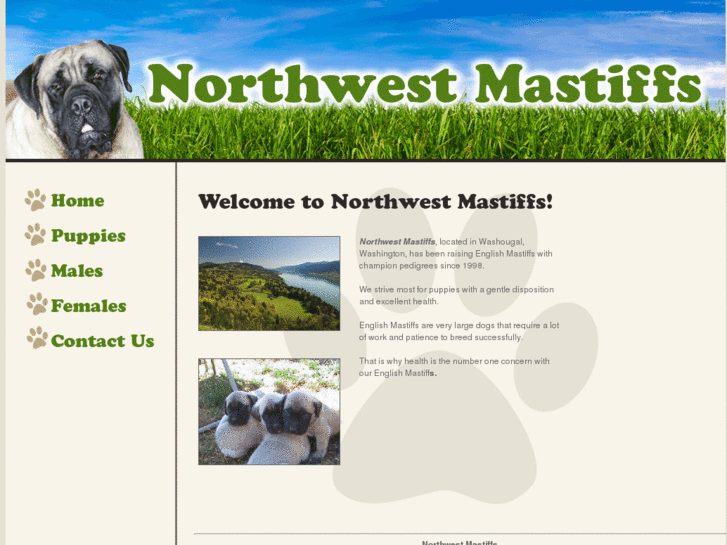 www.nwmastiffs.com
