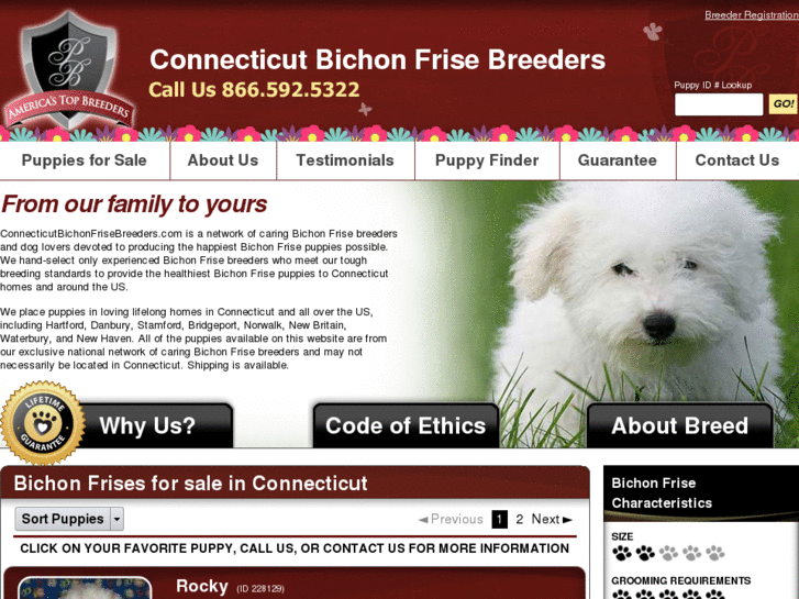 www.connecticutbichonfrisebreeders.com