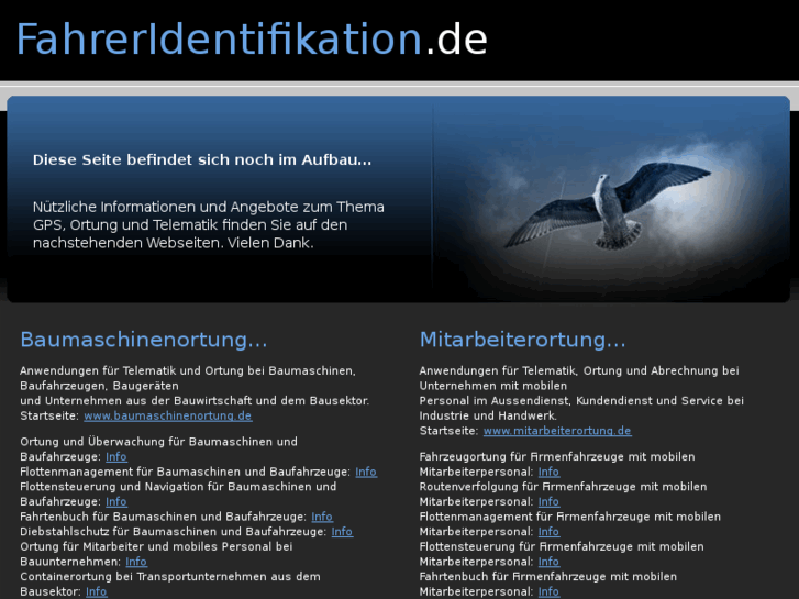 www.fahreridentifikation.de