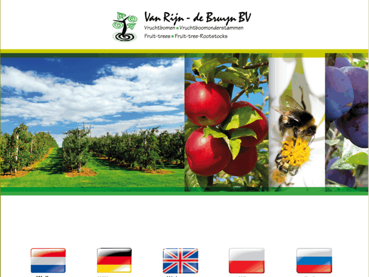 www.vanrijn-debruyn.com