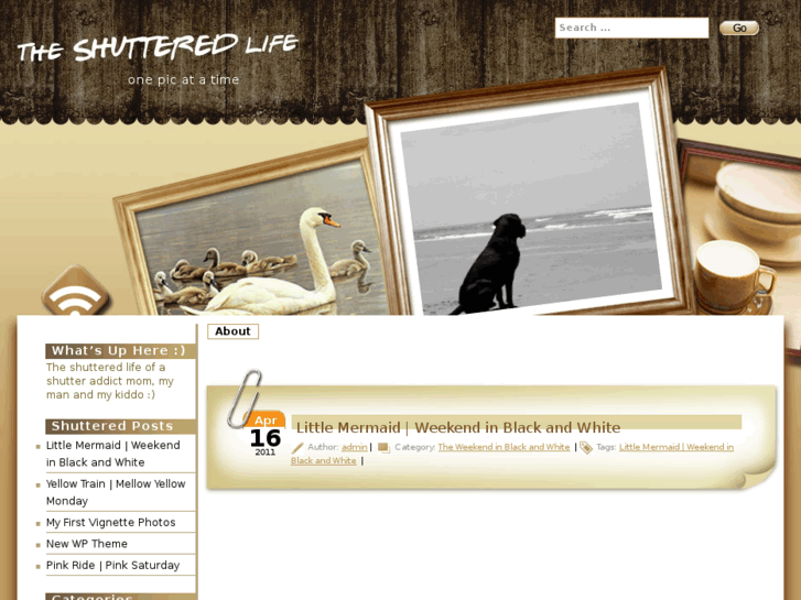 www.theshutteredlife.com