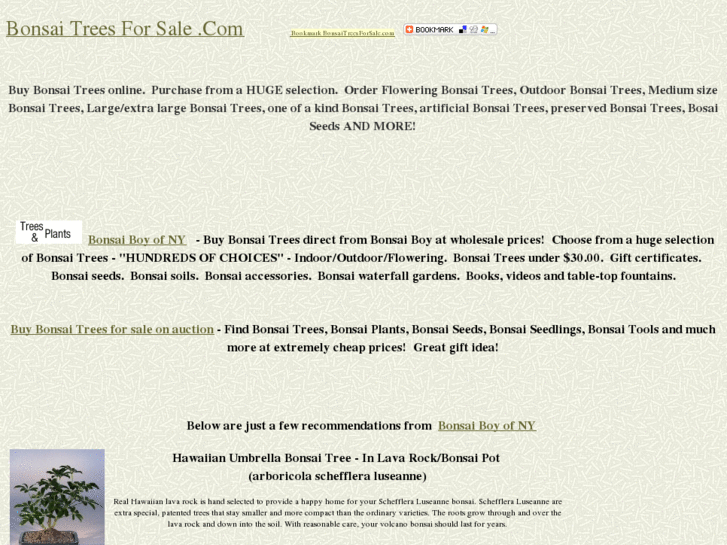 www.bonsaitreesforsale.com
