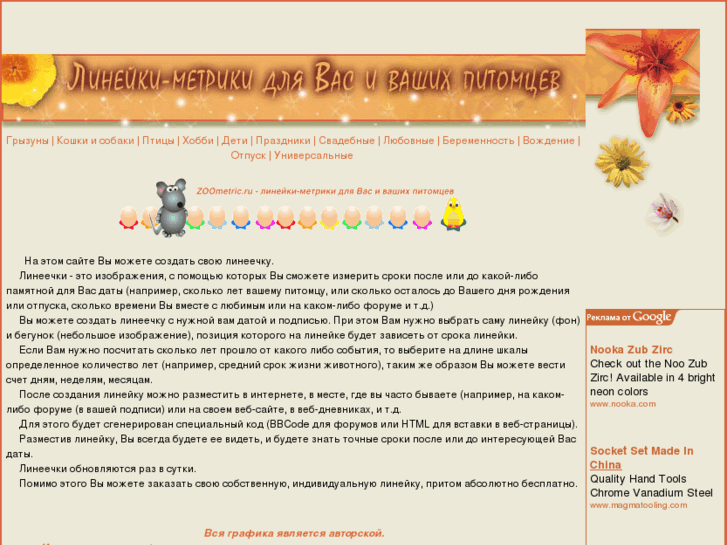 www.zoometric.ru