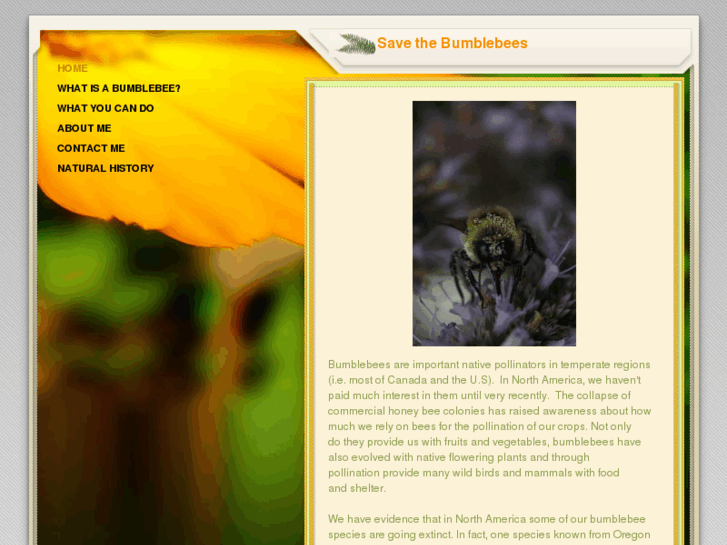 www.savethebumblebees.com