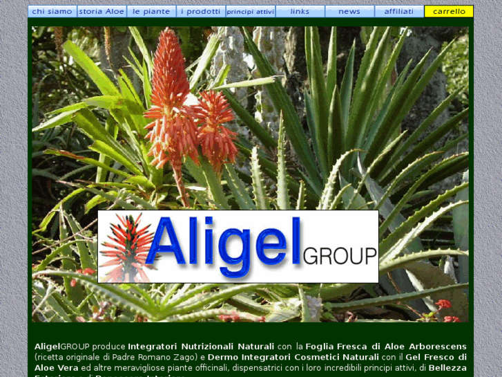 www.aligelgroup.com