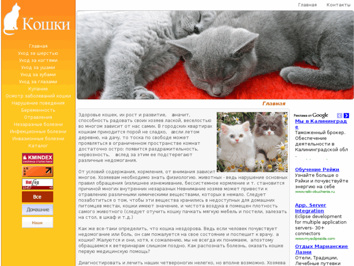 www.tomcat.tj