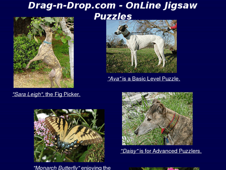 www.drag-n-drop.com