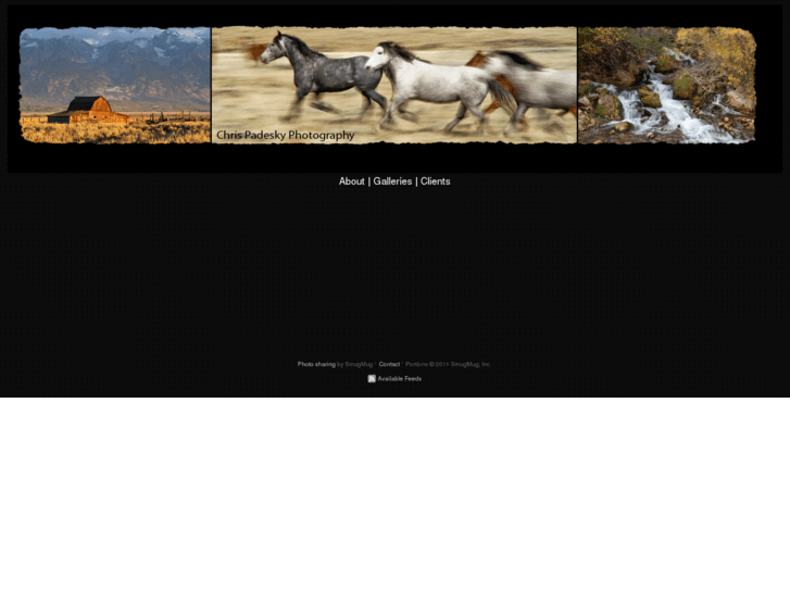 www.chrispadesky.com