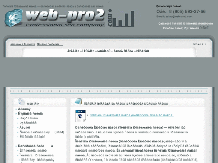 www.web-pro2.com