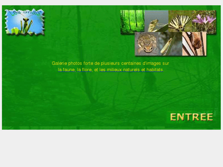 www.les-snats.com