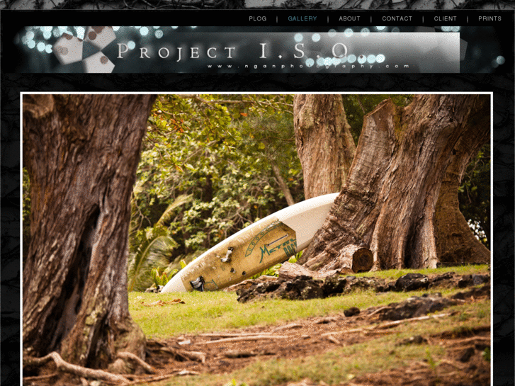 www.nganphotography.com
