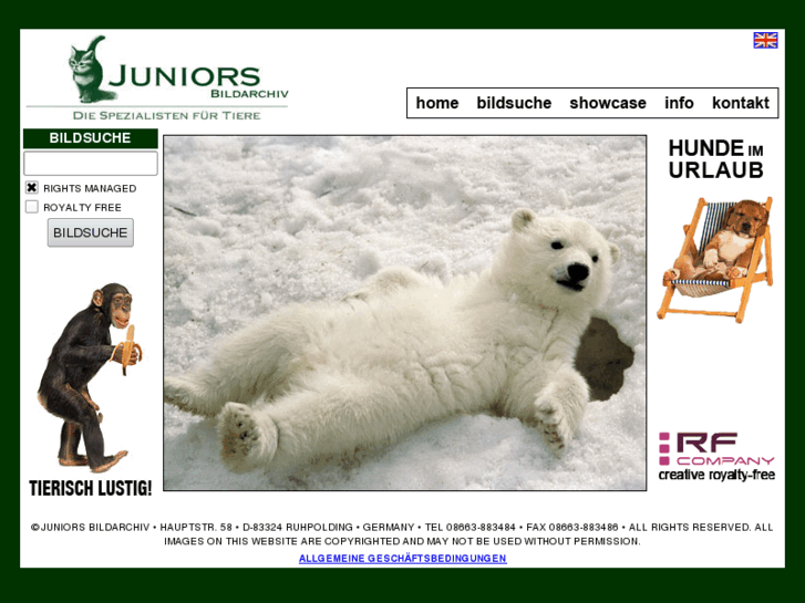 www.juniors-tierbild.de