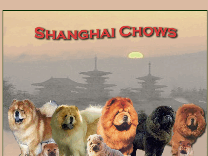 www.shanghaichows.com