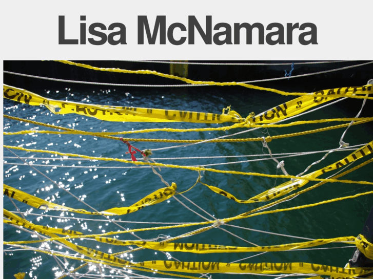 www.lisamcnamara.com