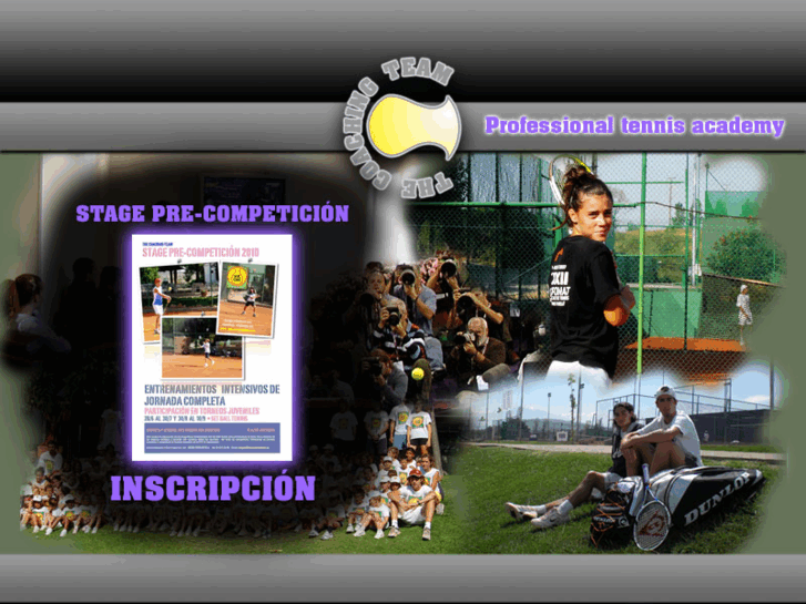 www.thecoachingteam.es