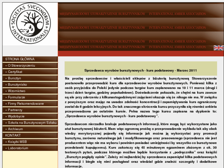 www.amber.org.pl