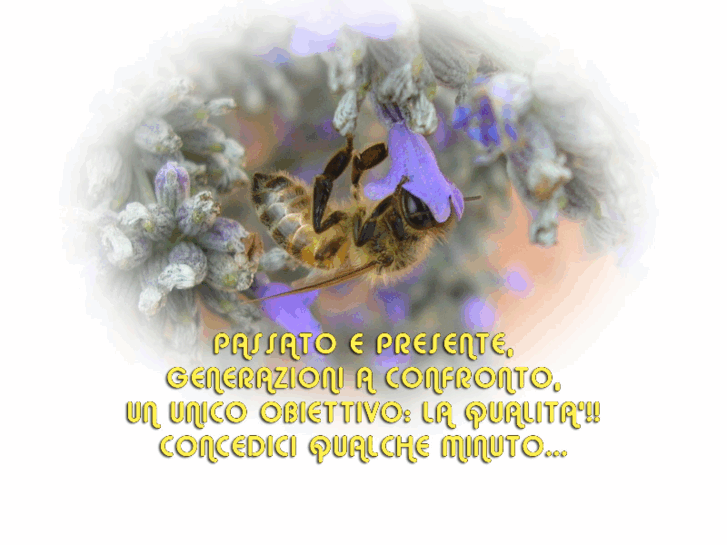www.apedoro.com