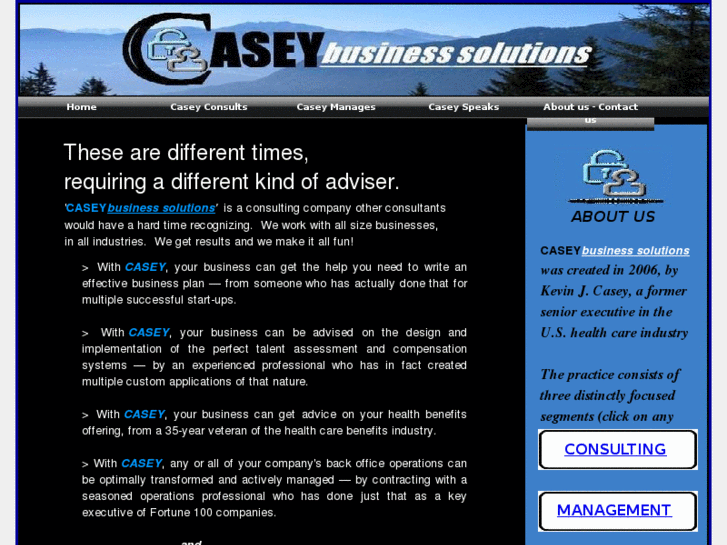 www.caseybizsolutions.com