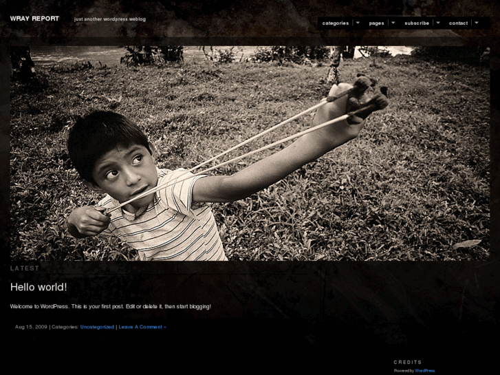 www.wray-report.com