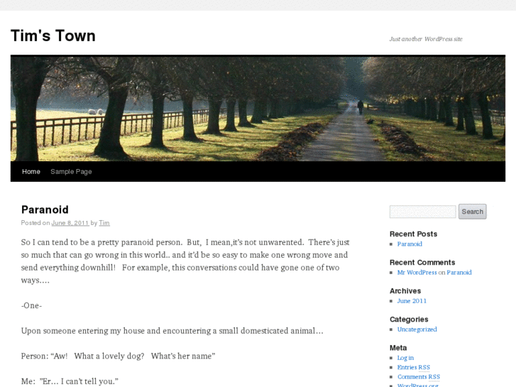 www.timstown.net