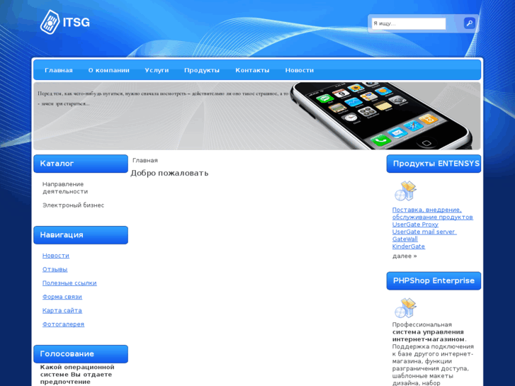 www.itsg.ru