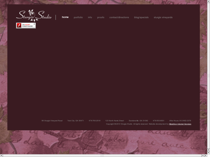 www.sturgisstudio.net