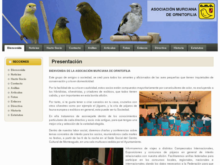 www.amoweb.es