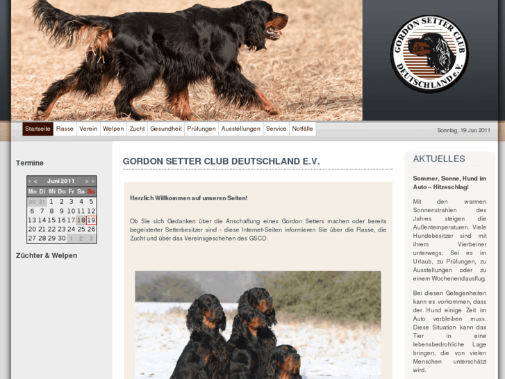 www.gordon-setter.com