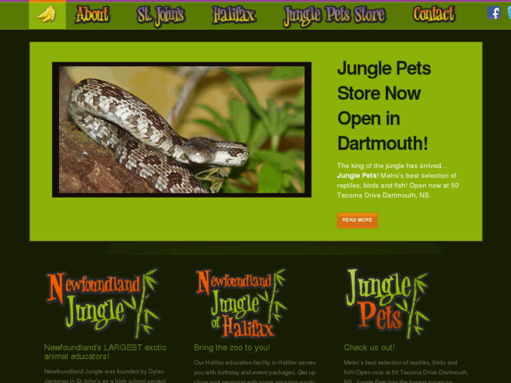 www.junglepets.ca