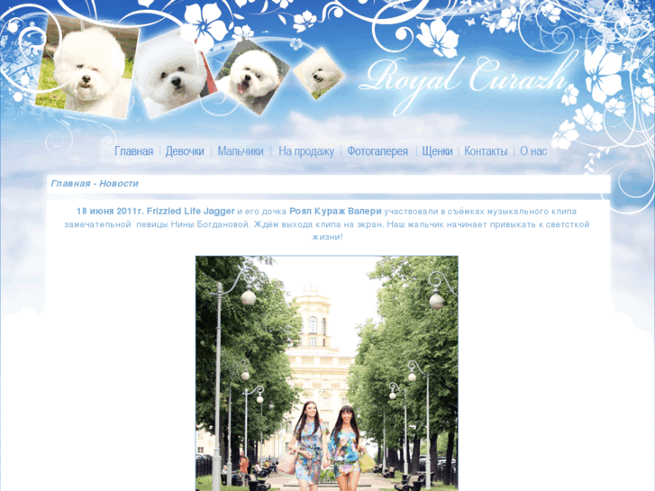 www.bichonby.com