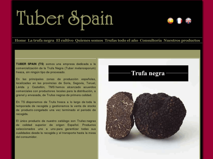 www.tubermelanosporum.es