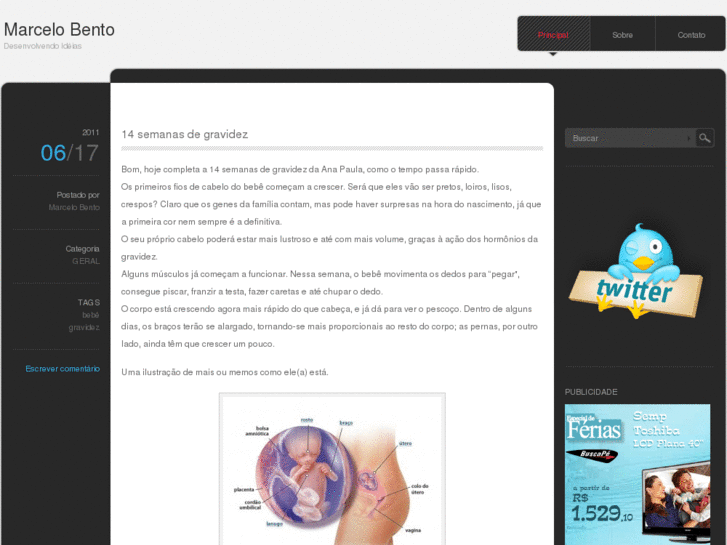 www.marcelobento.com.br