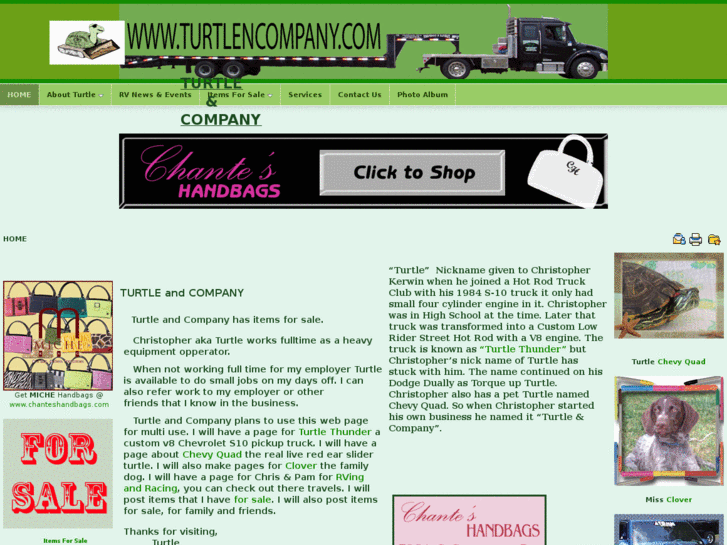 www.turtlencompany.com