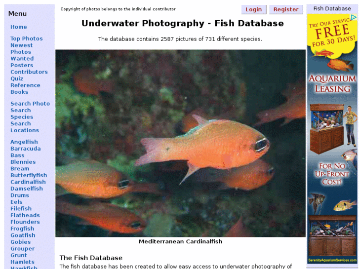 www.fishdb.co.uk