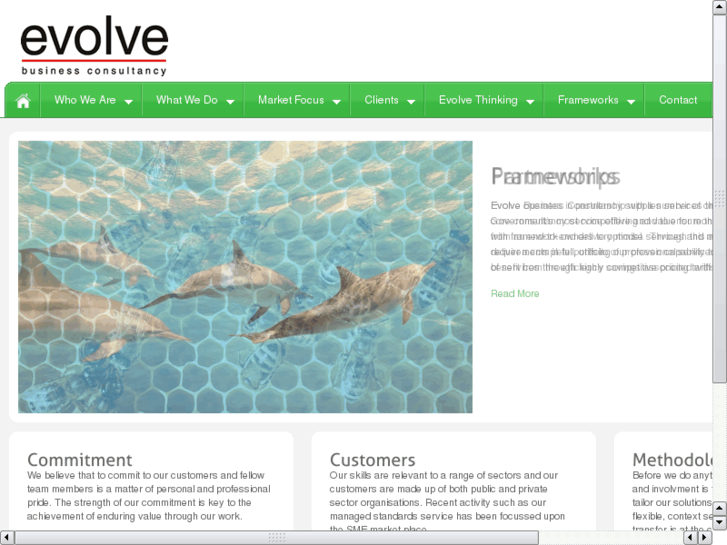 www.e-volveconsultancy.com