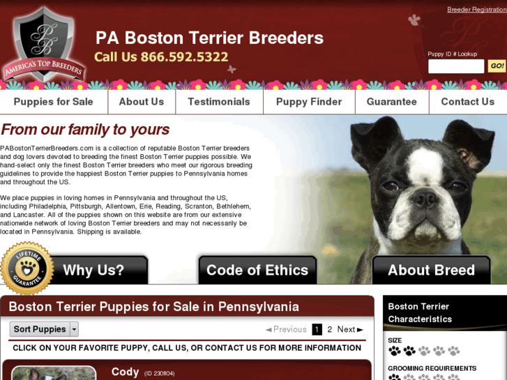 www.pabostonterrierbreeders.com