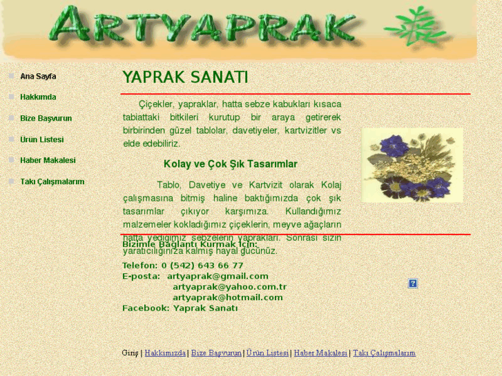 www.yapraksanati.com
