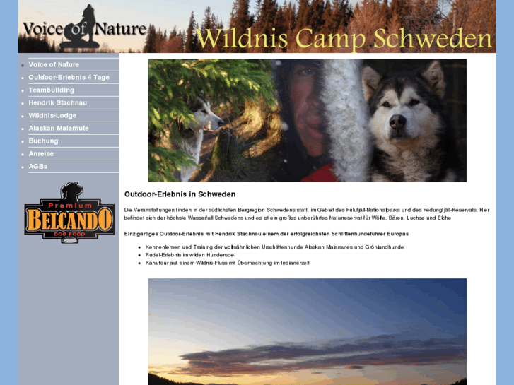 www.wildniscampschweden.com