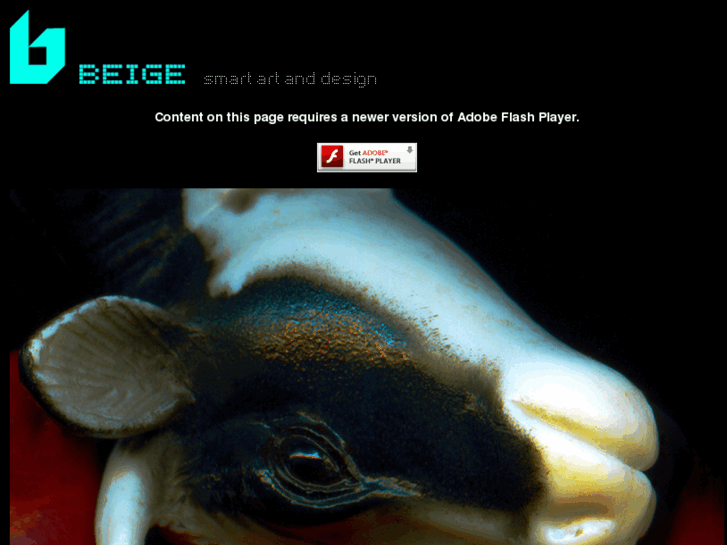 www.beige.com.au