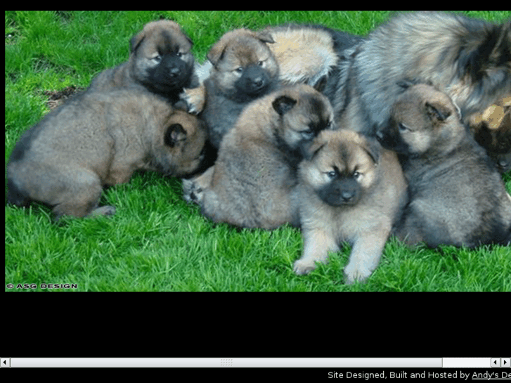 www.sundogeurasiers.com