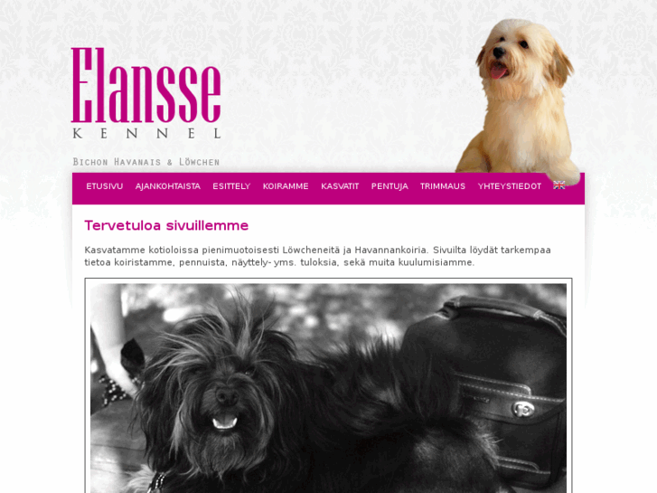 www.elansse.com