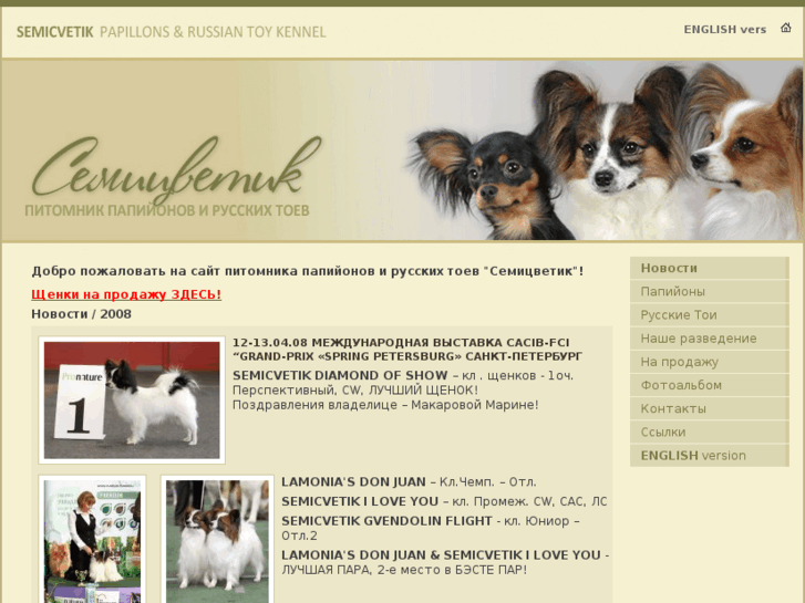 www.papillon-toydog.com