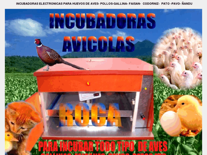 www.incubadorasroca.com