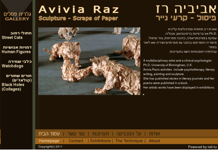 www.avivia-raz.com
