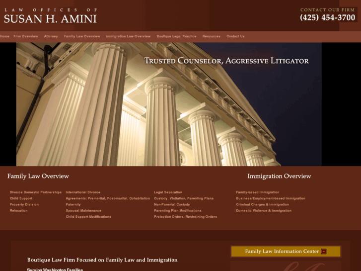www.aminilaw.com